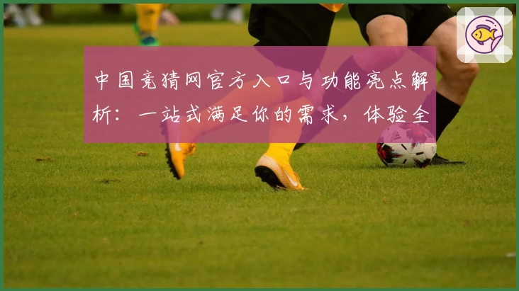 中国竞猜网官方入口与功能亮点解析：一站式满足你的需求，体验全新互动魅力