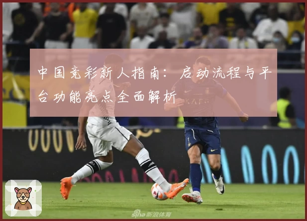 中国竞彩新人指南：启动流程与平台功能亮点全面解析